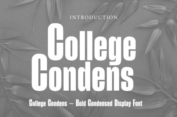 College Condens: Bold Display for Tight Spaces